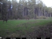 Picture of Beaverdam Farm North - Wilkes County, GA