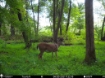 Picture of Beaverdam Farm North - Wilkes County, GA
