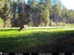 Picture of Beaverdam Farm North - Wilkes County, GA