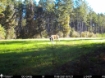 Picture of Beaverdam Farm North - Wilkes County, GA