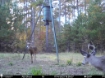 Picture of Beaverdam Farm North - Wilkes County, GA