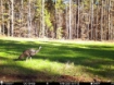 Picture of Beaverdam Farm North - Wilkes County, GA