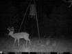 Picture of Beaverdam Farm North - Wilkes County, GA