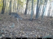 Picture of Beaverdam Farm North - Wilkes County, GA