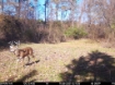 Picture of Beaverdam Farm North - Wilkes County, GA