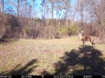 Picture of Beaverdam Farm North - Wilkes County, GA
