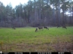 Picture of Beaverdam Farm North - Wilkes County, GA
