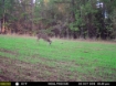 Picture of Snell-Clark Creek - Wilkes County, GA