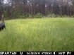 Picture of Snell-Clark Creek - Wilkes County, GA