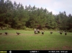 Picture of Snell-Clark Creek - Wilkes County, GA