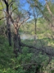 Picture of Wagon Wheel Farm - Vernon County, MO