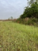 Picture of Wagon Wheel Farm - Vernon County, MO