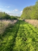 Picture of Wagon Wheel Farm - Vernon County, MO