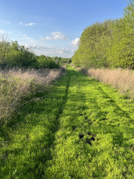 Picture of Wagon Wheel Farm - Vernon County, MO
