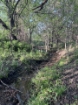 Picture of Wagon Wheel Farm - Vernon County, MO