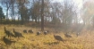 Picture of Camden County, MO