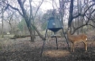Picture of Camden County, MO