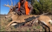 Picture of Camden County, MO